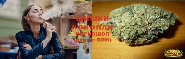 ALPHA PVP Осинники