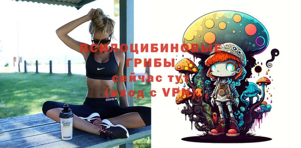 ALPHA PVP Осинники
