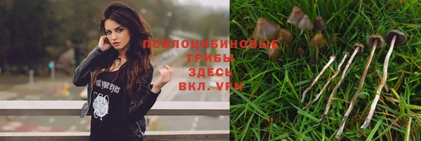 стаф Осташков
