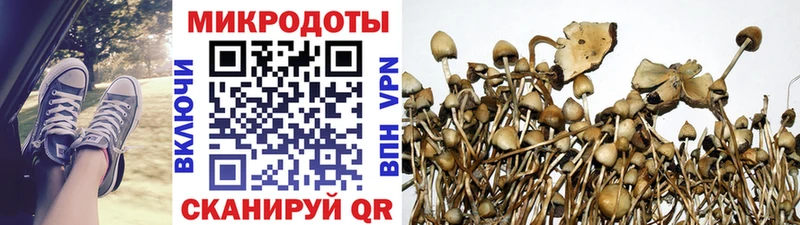 дарнет шоп  ссылка на мегу зеркало  Галлюциногенные грибы Psilocybe  Правдинск 